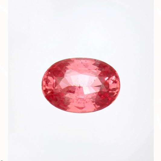 1.55ct Padparadscha Sapphire - 8.24 x 5.85 x 3.85mm - GIA Padparadscha