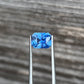 1.57ct Medium Cornflower Blue Sapphire - 6.92 x 5.32 x 4.12mm