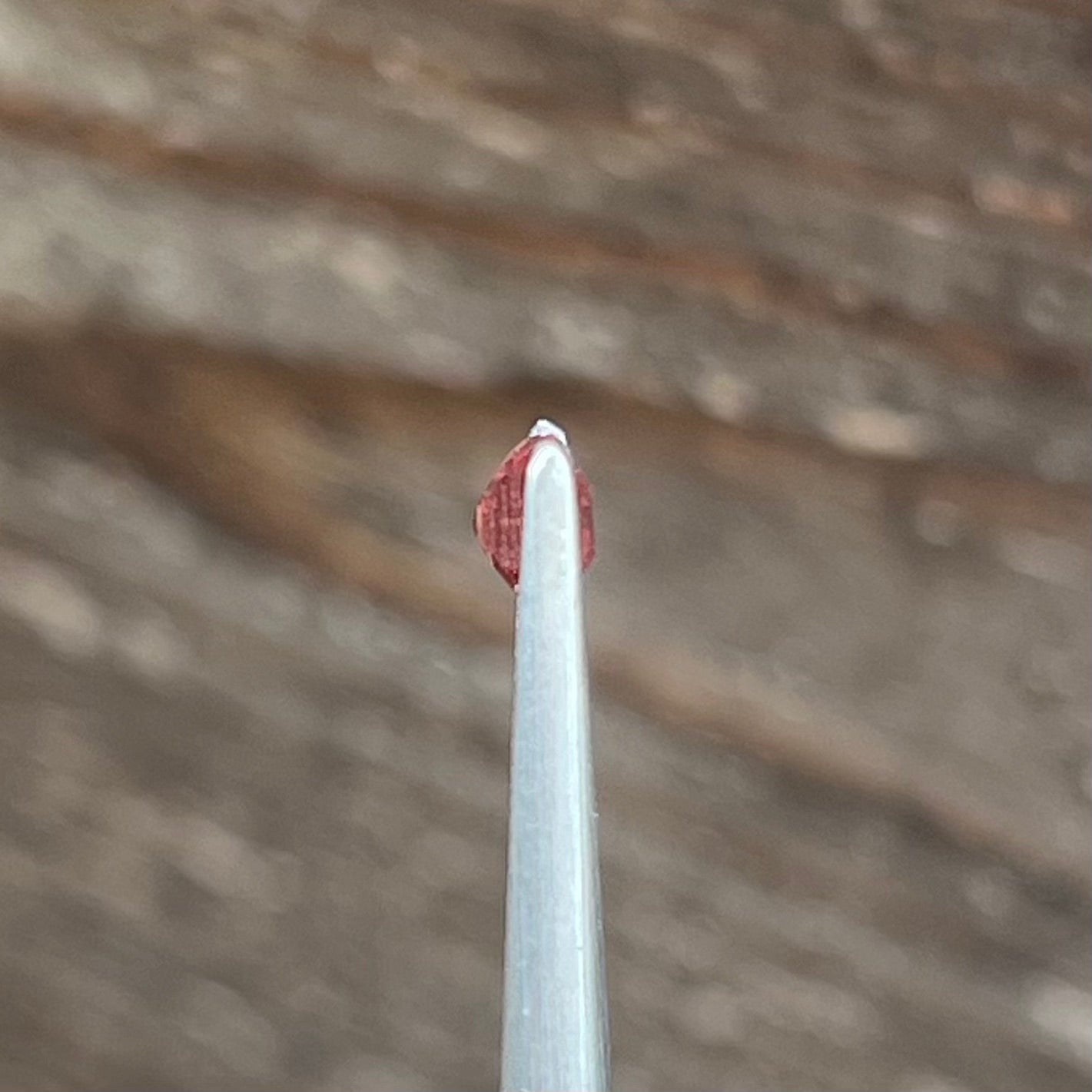 1.55ct Unheated Padparadscha Sapphire - 8.11 x 5.14 x 3.36mm