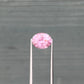 1.48ct Unheated Pink Sapphire - 7.96 x 6.49 x 4.21mm
