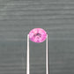 1.42ct Unheated Purplish Pink Sapphire - 7.28 x 5.98 x 4.05mm