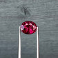 1.55ct Unheated Madagascar Purplish Red Ruby - 7.07 x 5.81 x 4.44mm - with GIA report