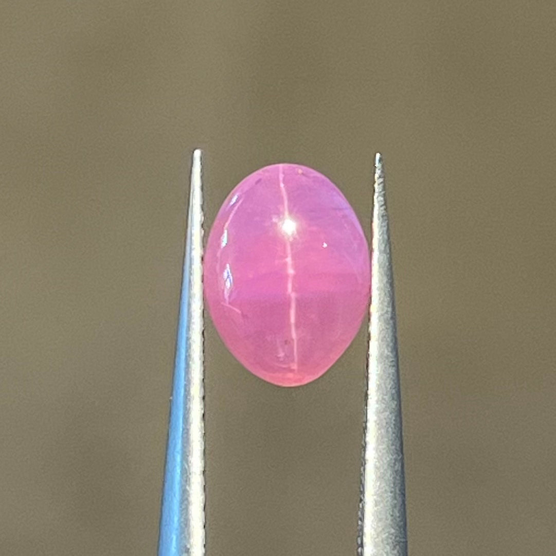 2.62ct Unheated Pink Cats Eye Sapphire - with GIA Notable rare gemstone Letter