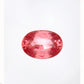 1.55ct Padparadscha Sapphire - 8.24 x 5.85 x 3.85mm - GIA Padparadscha