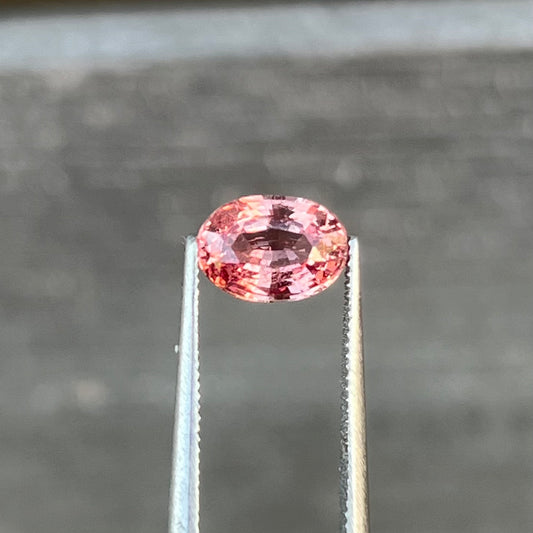 1.55ct Unheated Sunset Padparadscha Sapphire