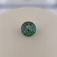 1.15ct Unheated Teal Sapphire - 6.59 x 3.85mm