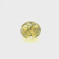 2.21ct Yellow Sapphire - 7.50 x 6.56 x 5.70mm
